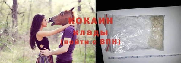 дмт Пестово
