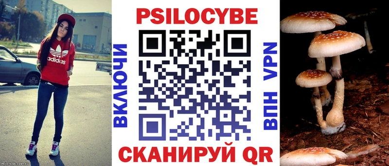 Псилоцибиновые грибы Psilocybe  гидра рабочий сайт  Тавда 