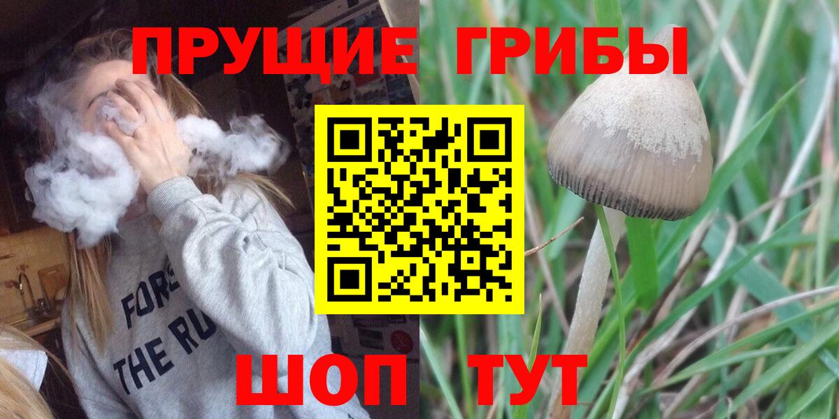 Галлюциногенные грибы мухоморы Тавда